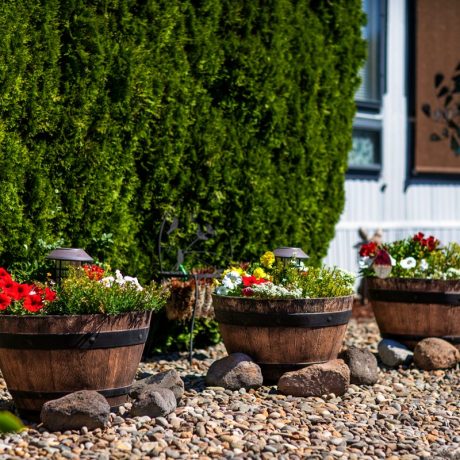 Flower image of Meadowlark Estates MHC