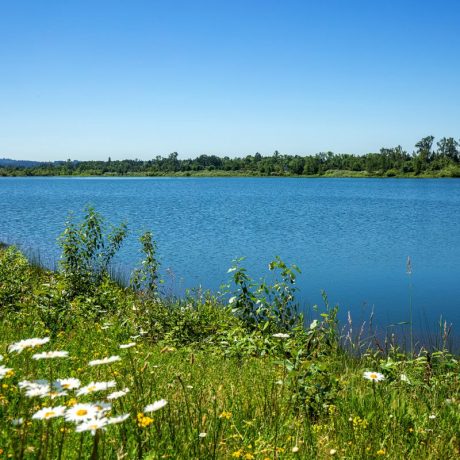 Meadowlark MCH Lake View