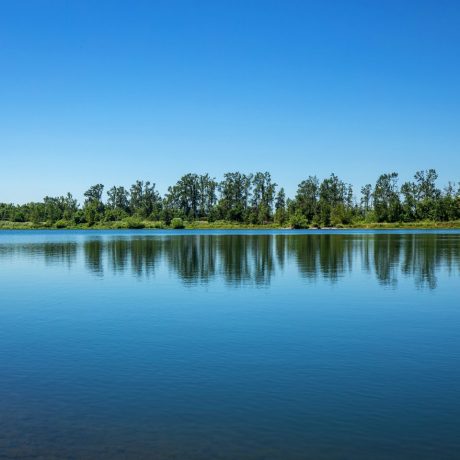 Meadowlark MCH Lake